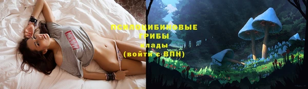 тгк Алексеевка