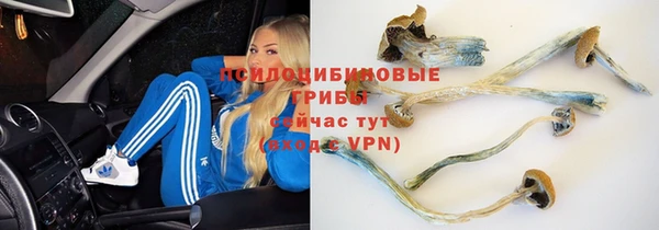 мяу мяу мука Алзамай
