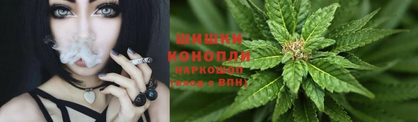 прущие грибы Алексин