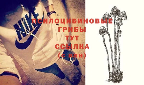прущие грибы Алексин