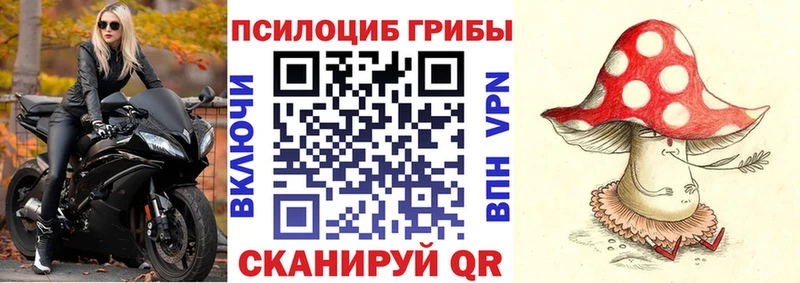 Галлюциногенные грибы MAGIC MUSHROOMS  Дубна 