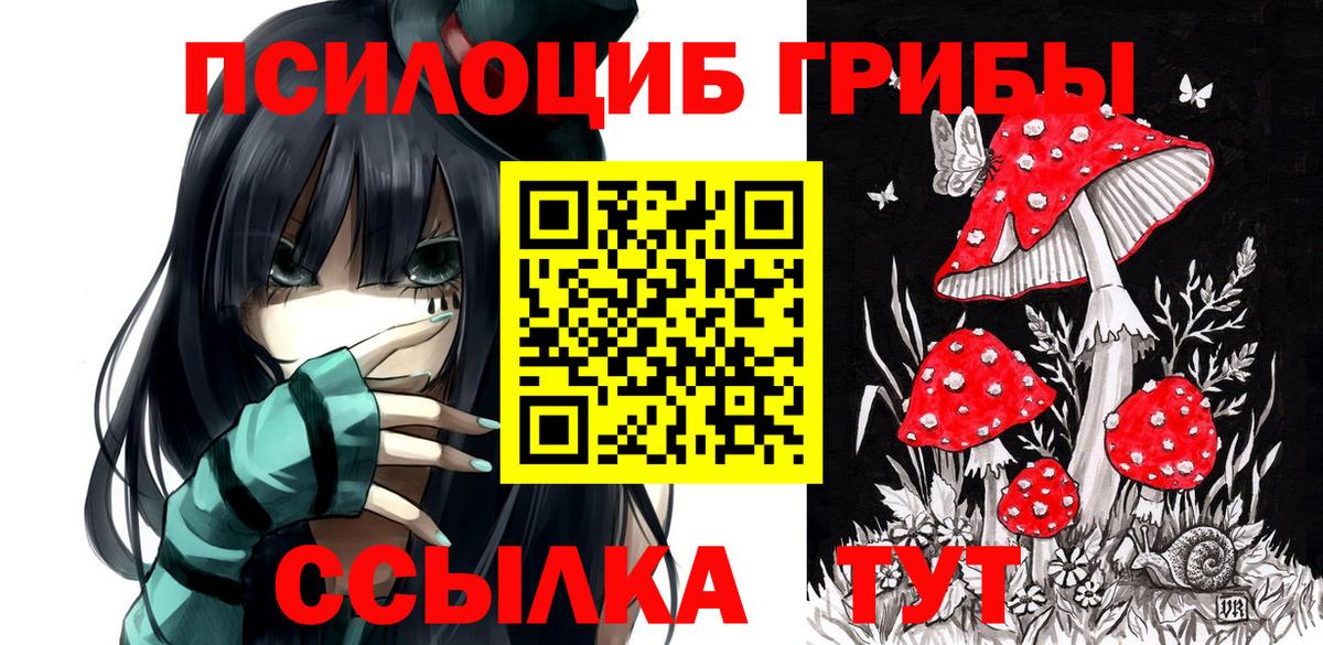 Дубна  Галлюциногенные грибы мицелий  Вход с VPN 
