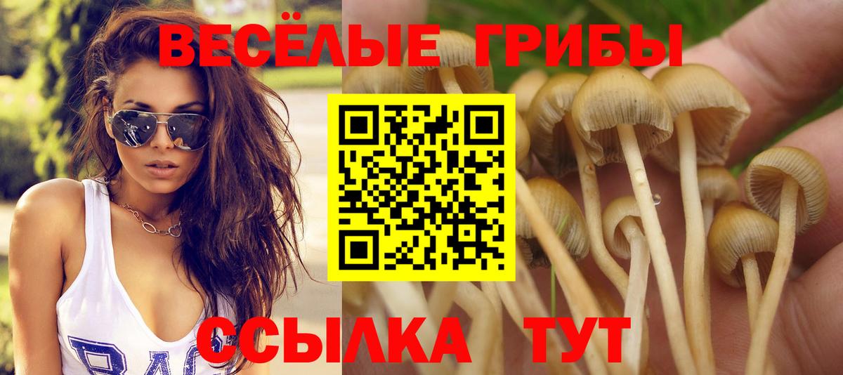 Галлюциногенные грибы GOLDEN TEACHER Дубна