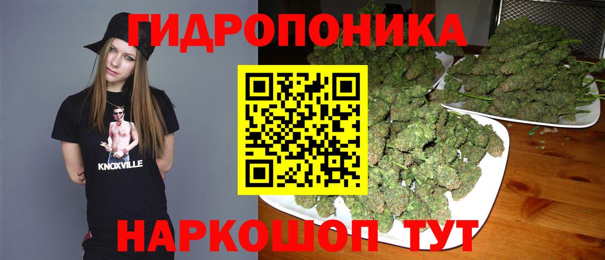 Бошки Шишки план  Бошки Шишки Bruce Banner  Вход с VPN  Конопля гибрид  Каннабис индика  Дубна 